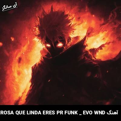 دانلود آهنگ ROSA QUE LINDA ERES PR FUNK EVO WND